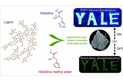 耶鲁大学研发出一种低成本显示面板用绿色发光材料替代方案